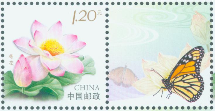图6